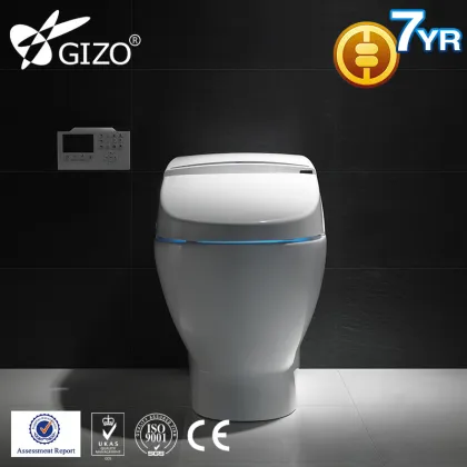 Sanitary Ware ceramic WC Smart Toilet