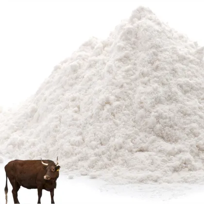 Body Health Care Chondroitin Sulfate White Powder