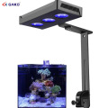 Coral Reef LED Fish Lamp Sunrise Sunset Dimmable