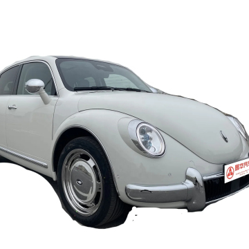 Chinese Electric Cars: GWM ORA Good Haomao Funky Punk Cat - Stylish New Energy Vehicles for Adults