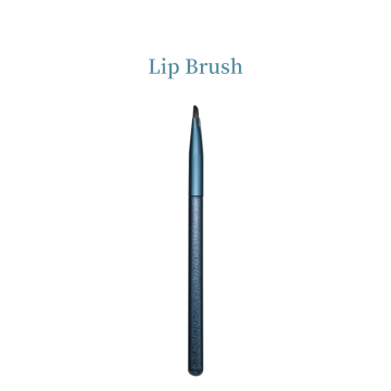 Lip Eyeshadow Eyebrow Highlight Nasal Brush Kit