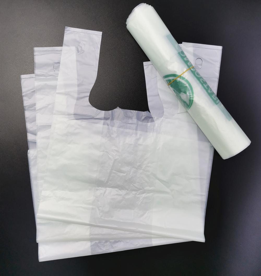  PLA Plastic Shopping bags