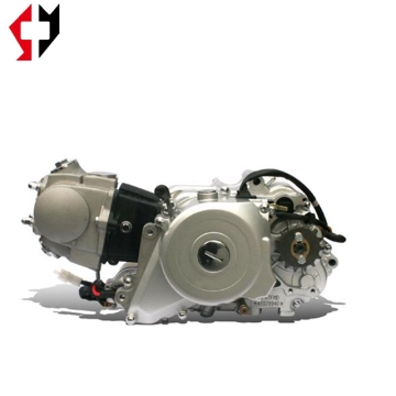 Pit Bike Parts & Engines: Electric/Kick-Recoil Starting Lifan 110cc for Sale
