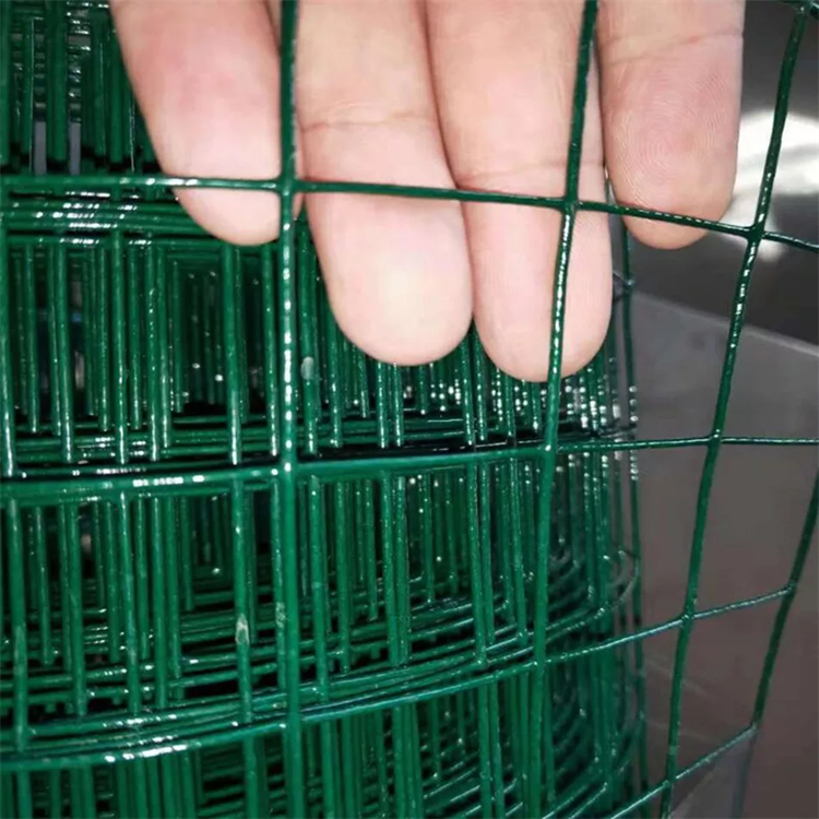 PVC Coated Welded Wire Mesh with cheap price