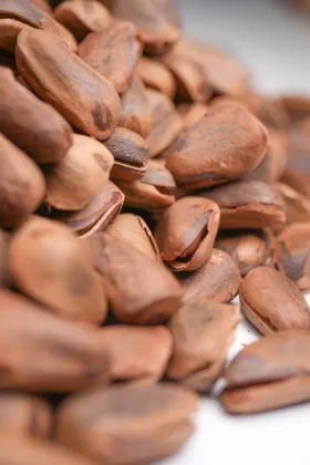 280g Organics Open Pine Nuts