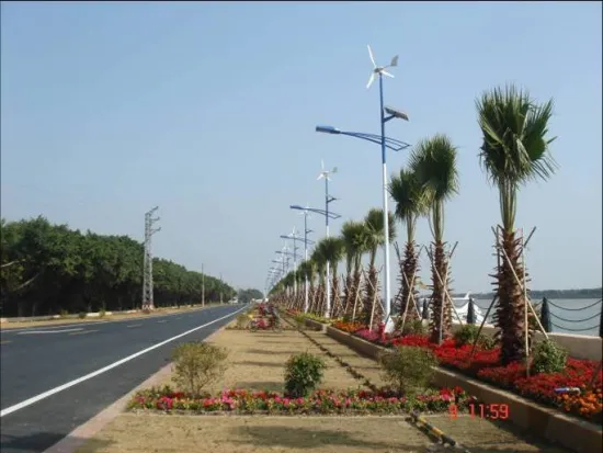 Off Grid Solar And Wind 12 / 24v Ac 100w Energy Street Lighting For Urban Roads