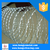 Razor Barbed Fencing/Hot Sales Galvanized Concertina Wire