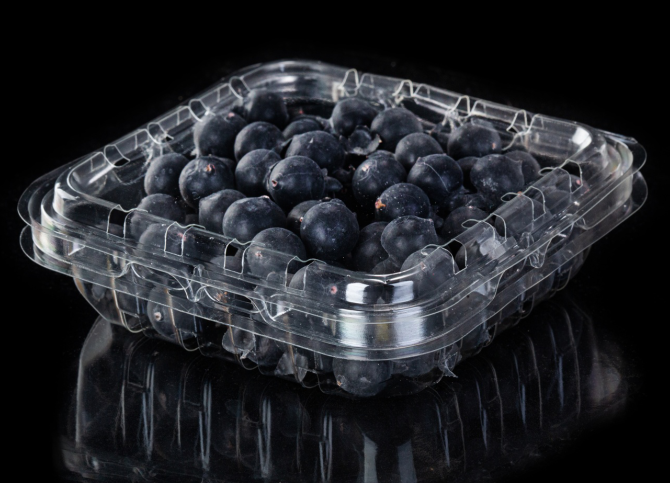 Contenitore a conchiglia in plastica PET per Blueberry