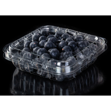 Plastikowy pojemnik z klapką PET do Blueberry