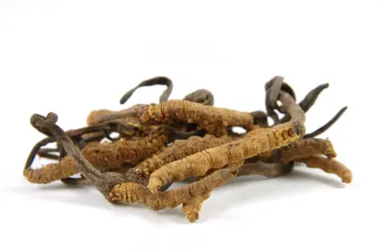 Cordyceps Sinensis Extract 40% Polysaccharides Powder