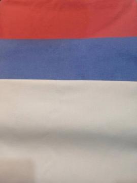 CVC spandex Knitted heavy Rib Pd fabric