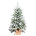 7,5-футовая рождественская елка Рембрандта