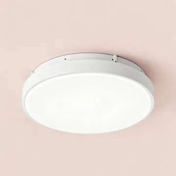 Modern LED Ceiling Light for Bathroom Installation