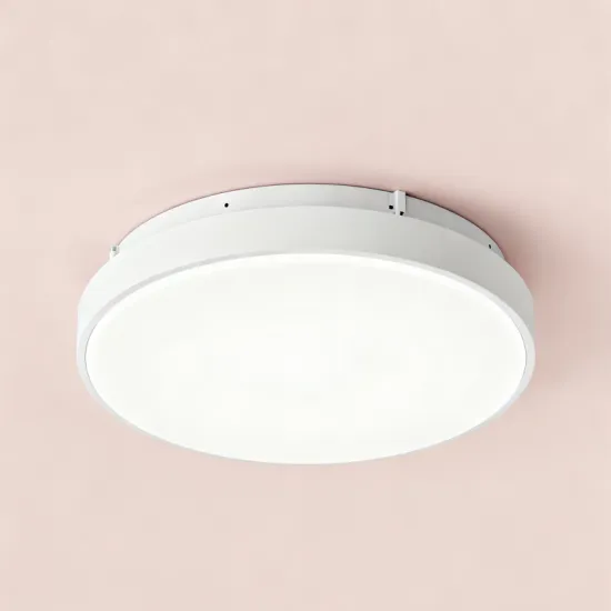 Modern LED Ceiling Light for Bathroom Installation