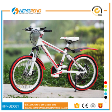 China Aluminum Alloy Frame 20 inch Kids Mountain Bike