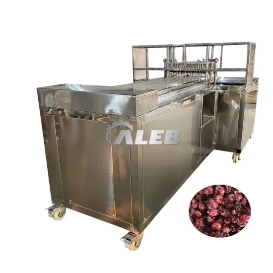 Hot Sale 304 Stainless Steel Fruit Pitter Machines for Avocado, Plum, Cherry, Prune, Olive, Peach & Roselle Core Removal