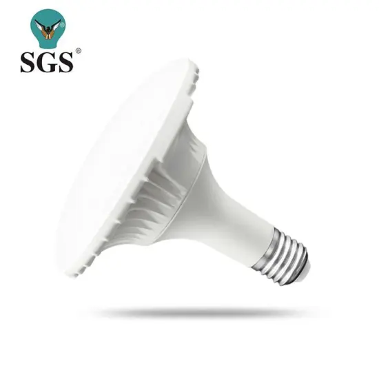 Popular, Environmentally Friendly, Color Changing LED Bulbs: Latest OEM/ODM Economic Models