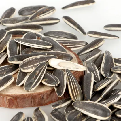 sunflower seed crude oil