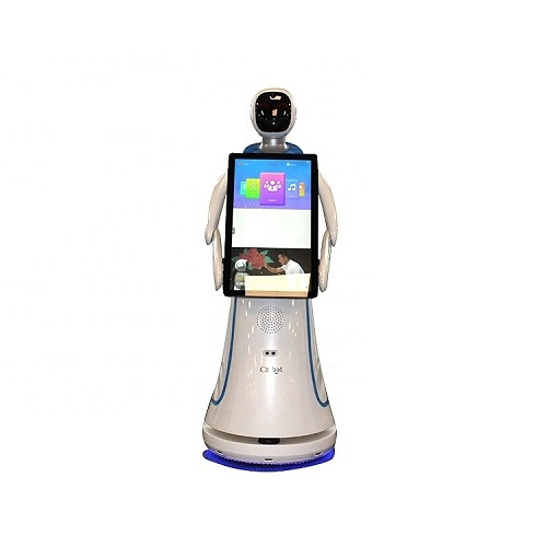 Shopping Mall and Supermarket Interactive Talking Robots