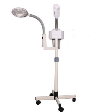 DT-318M Hot Sale: 2-in-1 Deep Face Cleaning Ionic Vaporizer with LED Magnifying Lamp
