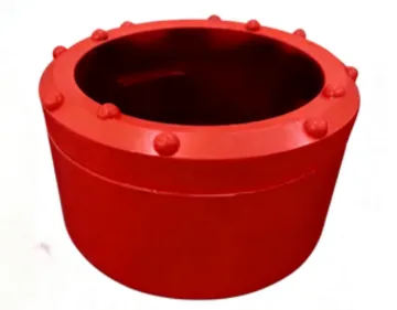 Casing Shoes and Ring Bits