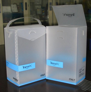 FROSTED PLASTIC PACKAGING BOX GIFT BOX IN MAILBOX SHAPE