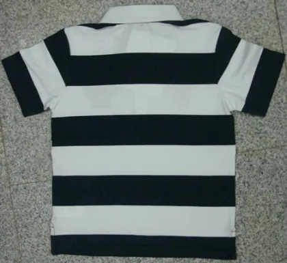 Polo (J-06)