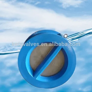 Cast iron dual plate wafer check valve