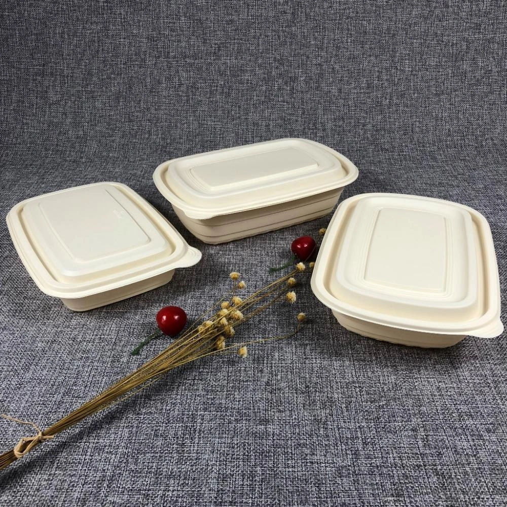 Z13 15%off eco friendly biodegradable food container China Manufacturer