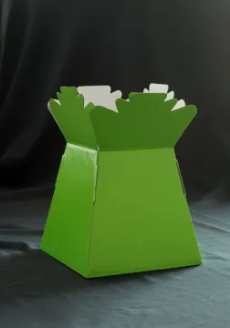 Colorful Flower transport vases