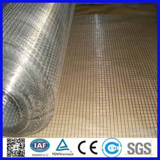 Galvanized square wire mesh with factory prices