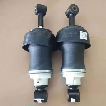 High quality european  heavy  truck rear air suspension shock absorber DZ16251434065