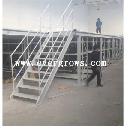 Platform Scale 2000Kg