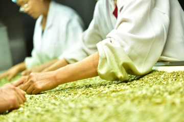 New production Kernel Pumpkin Seeds GWS 2021