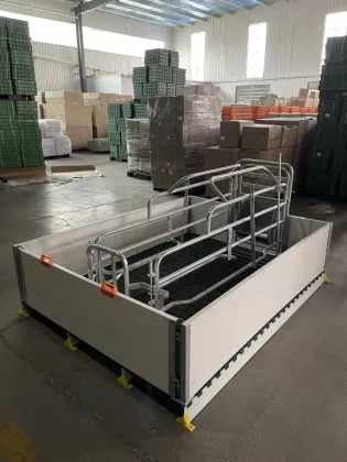 Hot Dipped Farrowing Crates with PVC Fence for Pig Raising Equipment