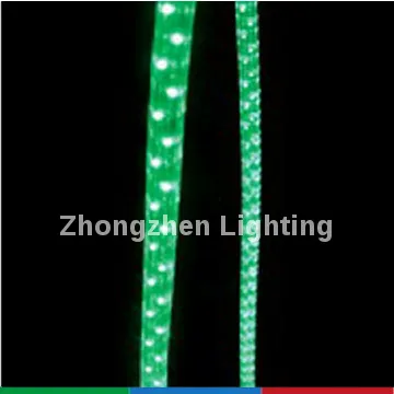 LED lighting manufacturers 3 wires flat rope light