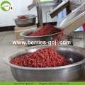 Premium Natural Nutrition Wholesale Bacca di Goji