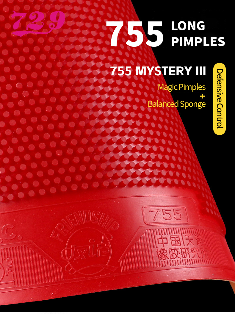 755 mystery detail 1