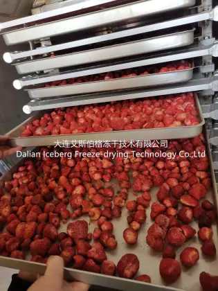 Strawberry Fruit Freeze-drying Machine