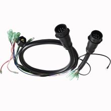 Automotive Igniter Wire Assembly