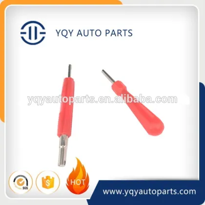 Valve Bore Core Screws Remover Tool