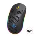 RGB 2,4 GHz Wireless Gaming Maus mit 6d