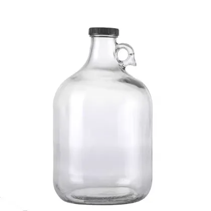 Empty One Gallon Glass Wine Bottle