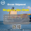 Servicios de logística de Ningbo a Abu Dhabi