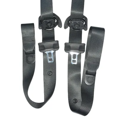 Factory Price Auto Safety Systems Seat Belt A24786059009C94 A24786060009C94 for Benz 247