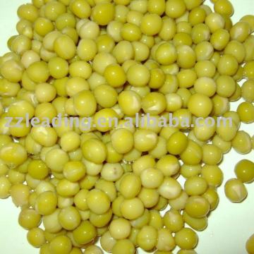 Canned Green Pea