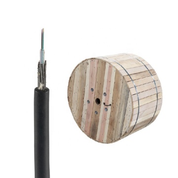 China Manufacturer's FTTH Optical Fiber Cable: 4-12 Core, GYXTY Type, Rodent-Resistant, Outdoor with Steel Wires and Armored Uni-Tube Design