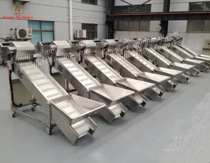 Conveyor Belt Machine: Belt Conveyor Systems & Solutions