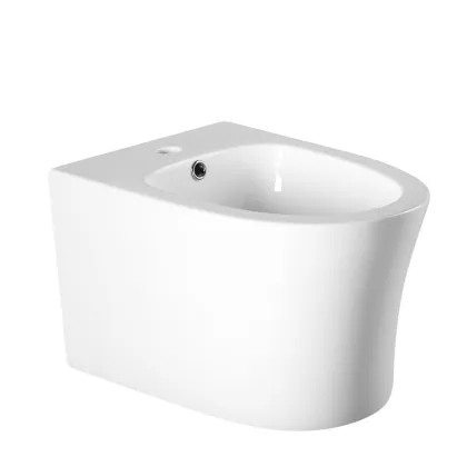 European Standard Wall-Mounted Women's Toilet Bidet