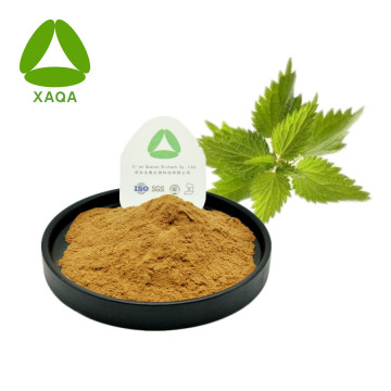 Nettle Extract Silica 1% Powder Treat Arthritis